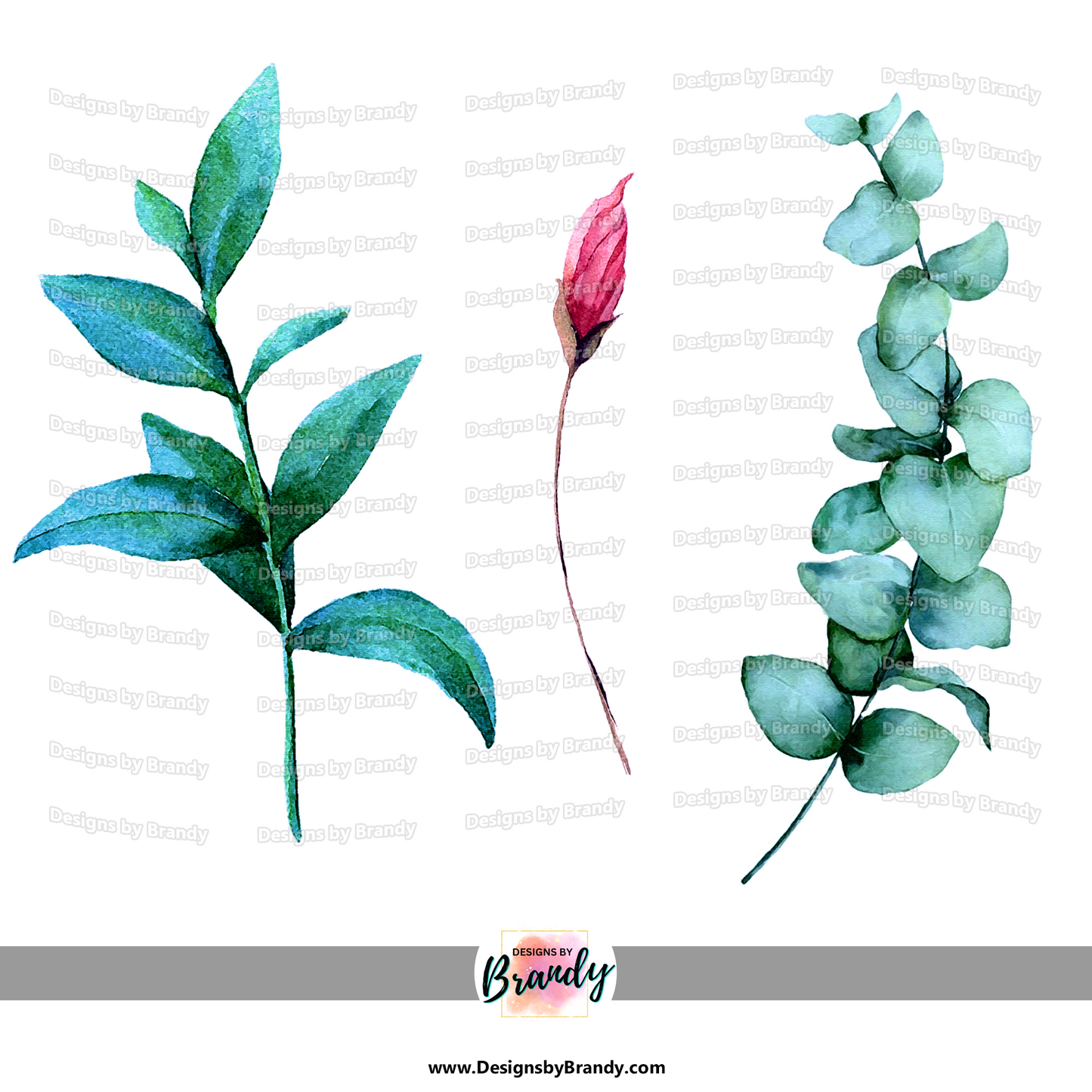 Floral Clipart Collection Clipart Design