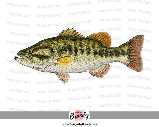 Bass Fishing Clipart Digital Download