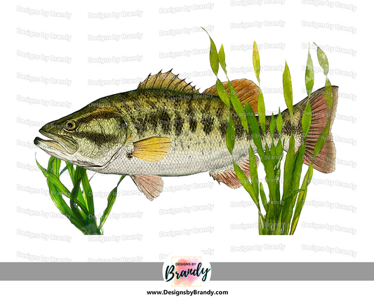 Bass Fishing Clipart Digital Download