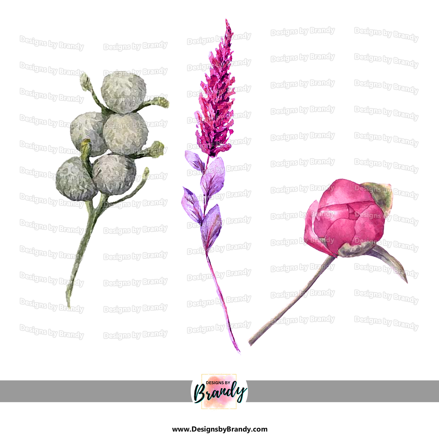 Floral Clipart Collection Clipart Design