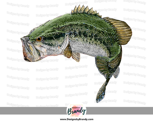 Bass fish clipart